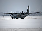 Czech C295