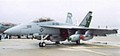 AIR_EA-18G_Prototype.jpg