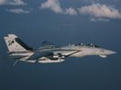 AIR_F-14D_of_VF-31.jpg