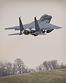F-15SE CWB