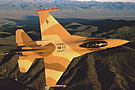 NAWCAD F-16