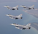 RSAF F-16C/Ds, Pitch Black 2010