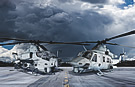 H-1s UH-1Y and AH-1Z Runway
