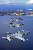 RAAF Hawks, Port Stephens