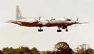 IL-38 May