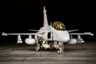 Gripen Demo unveiled