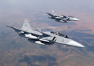 JAS-39 Gripens in South Africa