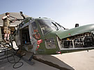 Lynx, Iraq