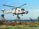 Lynx Mk8 Tropical
