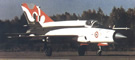 MiG-21 Bison Painted