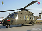 Italian NH90 TTH