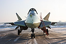 PAK-FA shows PChN