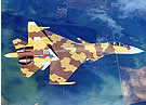 AIR_SU-37.jpg
