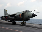 IN Sea Harrier