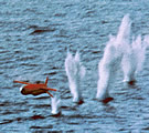 BQM-74E for gunnery
