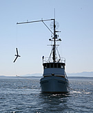 ScanEagle small craft recovery