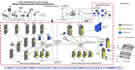 ELEC_Australia_RCS_Physical_Architecture.jpg