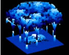 LADAR Image