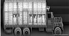 ELEC_Z-Backscatter_Truck_X-Ray.jpg