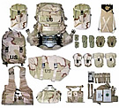GEAR_MOLLE_Array_Desert.jpg