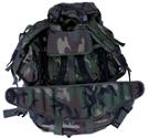 GEAR_MOLLE_Pack.jpg