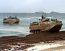 LAND_AAV7s_Come_Ashore_Somalia.jpg