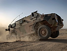 Bushmaster