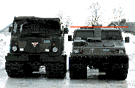 Bv206 and Bv206S