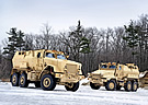 Caiman MTVs