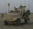 Cougar & jammer