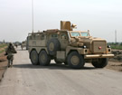 LAND_Cougar_HE_in_Road.jpg