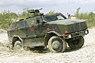Dingo w. FLW-200