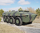 Pars 8x8