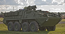 M1126 ICV, DVH