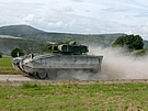 Puma At Speed
