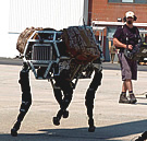 LAND Robot BigDog and Controller