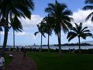 LOGI_Pearl-Harbor_palms.jpg