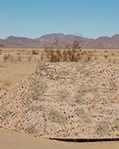 MISC_Camo_ULCANS_Net_Desert.jpg