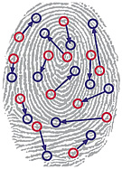 MISC Fingerprint Biometric DSU