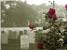 Memorial Day