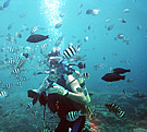 SCUBA