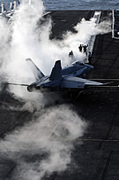 CVN-76 cat