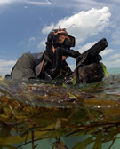 NAVY_SEAL_Combat_Swimmer.jpg