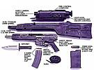 OICW HK stripped