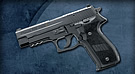 P226 Navy