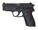 SIG P228