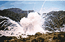 ORD_White_Phosphorus.gif