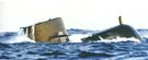 SHIP_SSK_Collins_Class_Surfacing.jpg